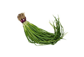Green Onion - हरा प्याज - લીલી ડુંગળી